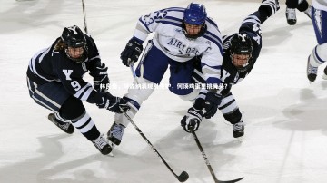 b体育官方入口_林良锋，阿森纳表现引羡妒，何须鸡蛋里挑骨头？